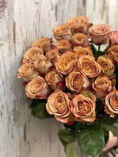 Розы: выбираем ароматные и красивые сорта