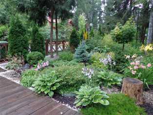 Декоративные садовые растения: как выбрать и разместить их на участке