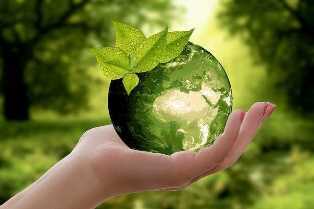 Эко-дома: бережное отношение к окружающей среде