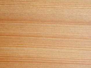 Как выбрать правильную древесину для строительства своего дома?