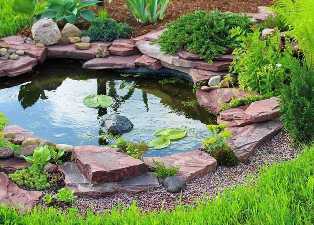 Садовые водоемы: как создать красивые пруды и водопады на участке