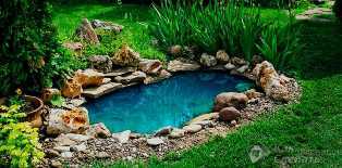 Садовые водоемы: воплотите свой сад в живую воду