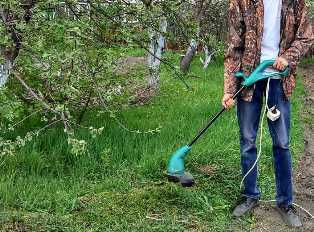 Садовый тример: как выбрать подходящий инструмент для обрезки травы и кустов